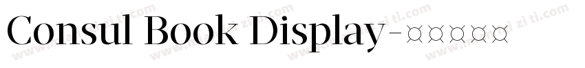 Consul Book Display字体转换